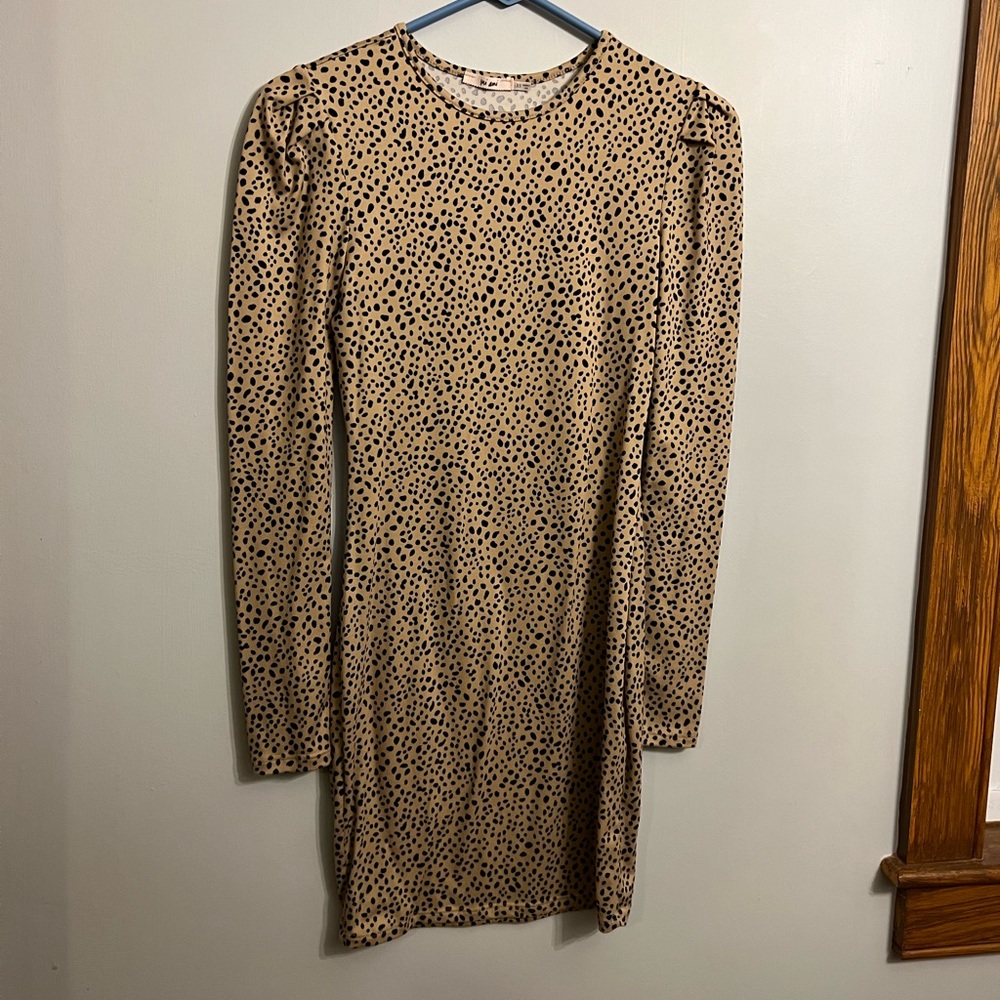 Francesca’s Dress
